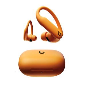 Beats Earbuds
