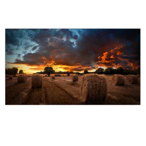 Samsung VM55B-U Ultra Narrow Bezel Video Wall