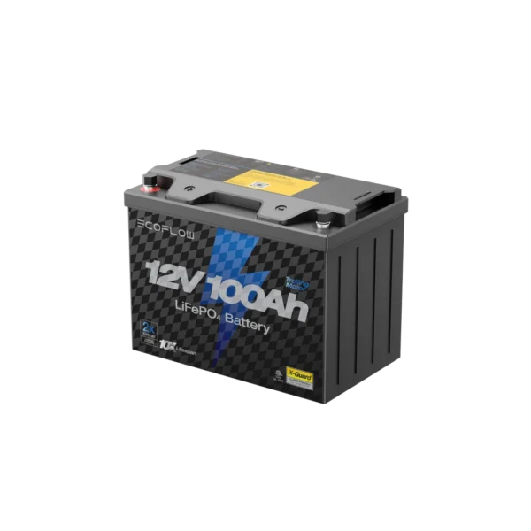 EcoFlow 12V 100Ah LiFePO4 Deep Cycle Battery