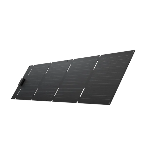 EcoFlow 60W Portable Solar Panel