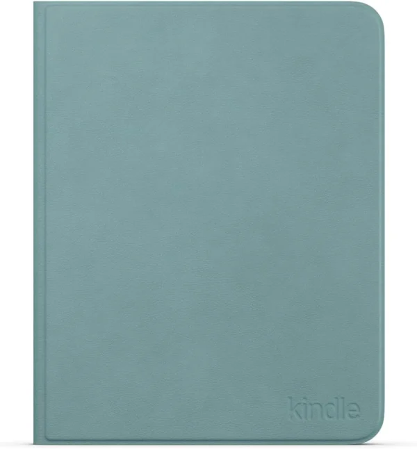 Kindle Page-Turn Cover