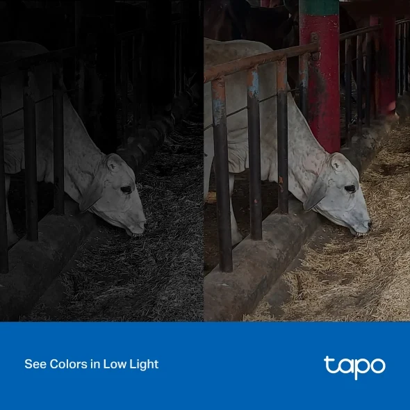 Alternative view of TP-Link Tapo C320WS Outdoor Wi-Fi Camera